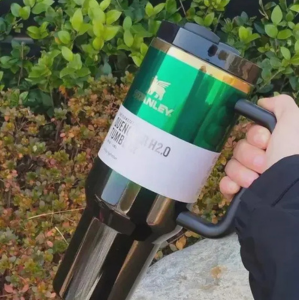 Stanley Quencher H2.0 FlowState Tumbler 40 oz – Target Exclusive Wicked Elphaba Edition